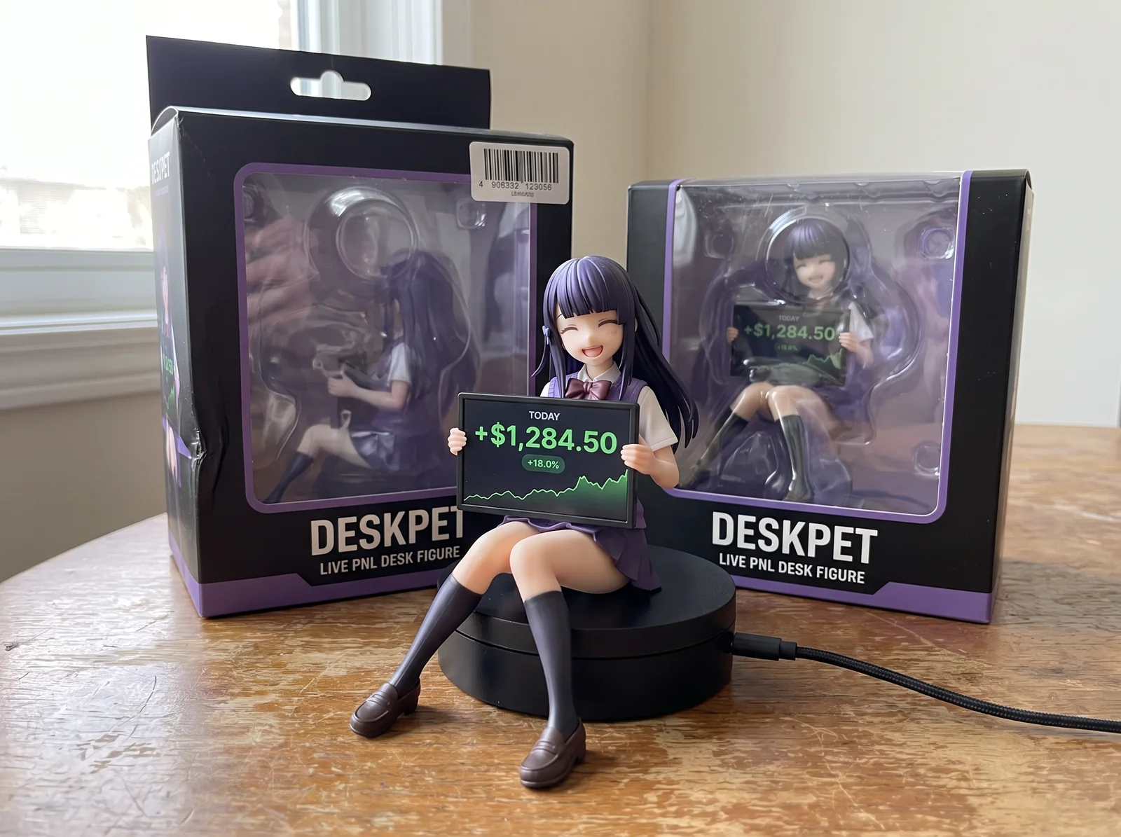 The figure in front of two Deskpet retail boxes